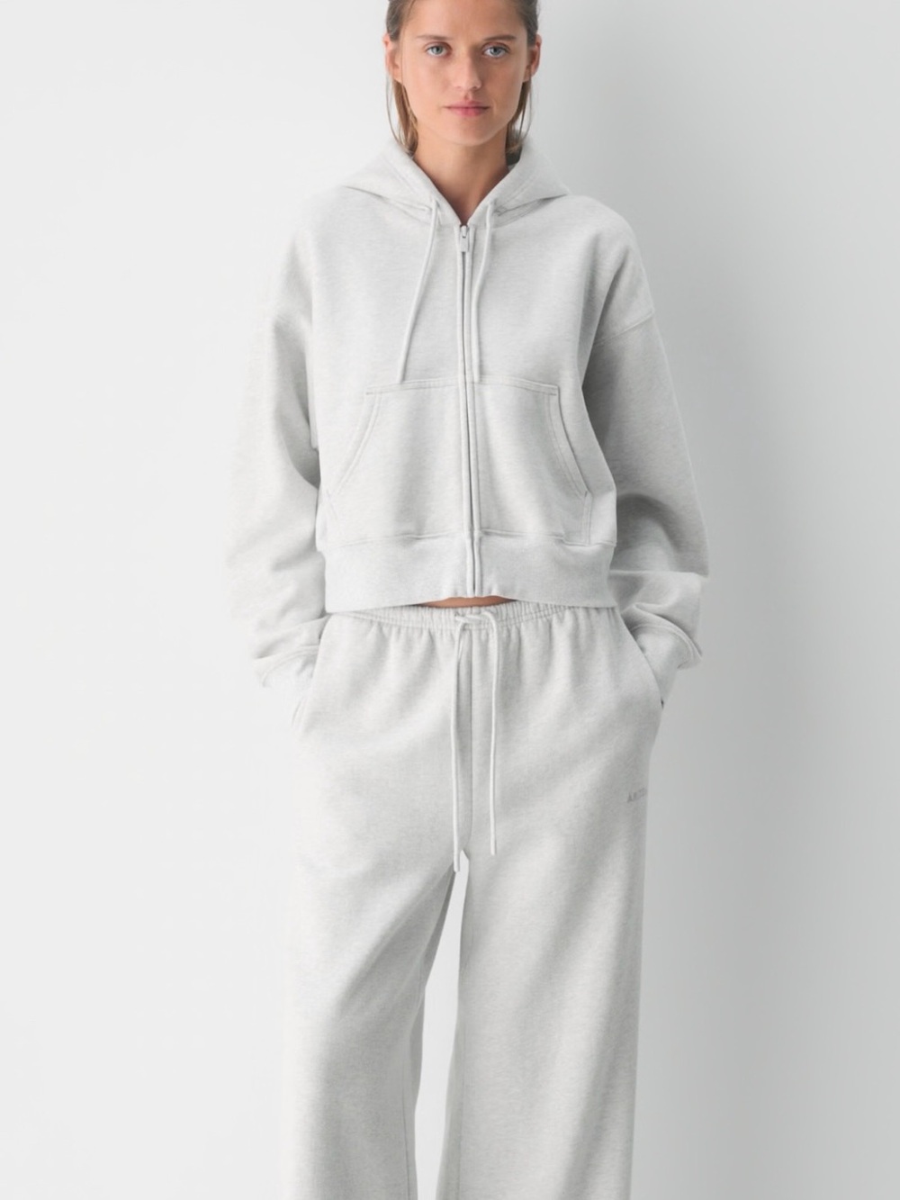 Aritzia Cozy Sweatfleece Boyfriend Boxy Zip Hoodie